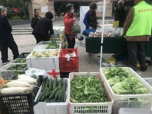 便捷與實惠并行 高品質農產品進社區，守護市民餐桌健康